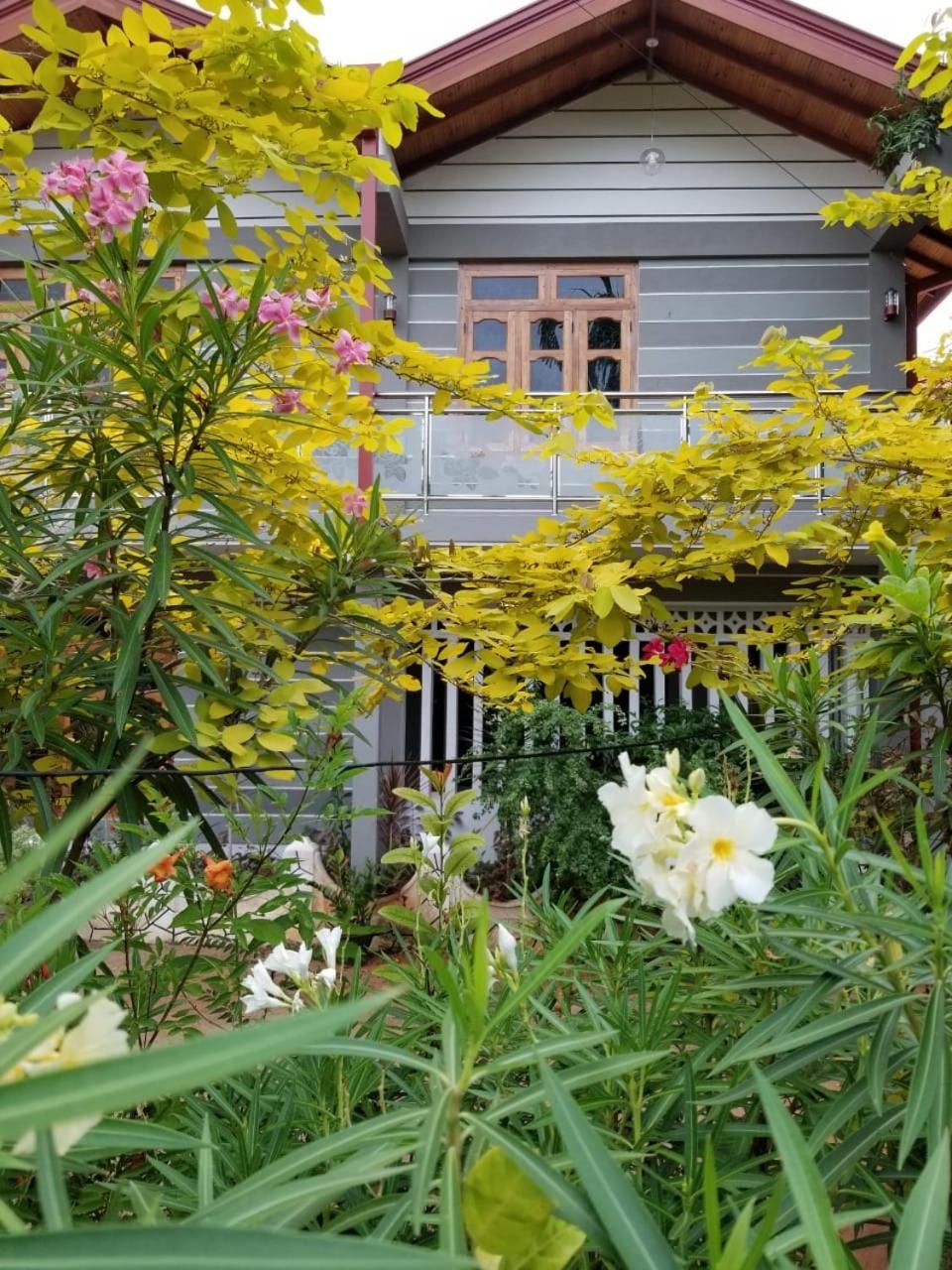 Berty'S Cottage Jaffna Exterior foto
